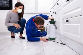 Best Pest Control for Multi-Family Homes  in Canyon Day, AZ